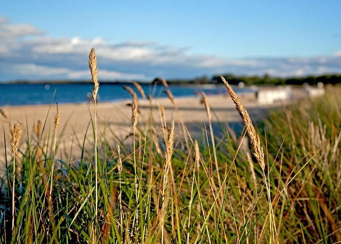 Appartement Minervapark Whg Mi01 *